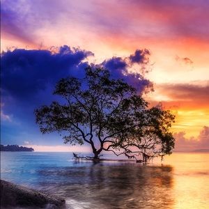 Meet your Posher, Reagan